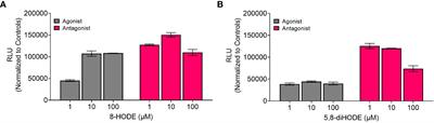 Loss of the mammalian G-protein coupled receptor, G2A, modulates severity of invasive pulmonary aspergillosis